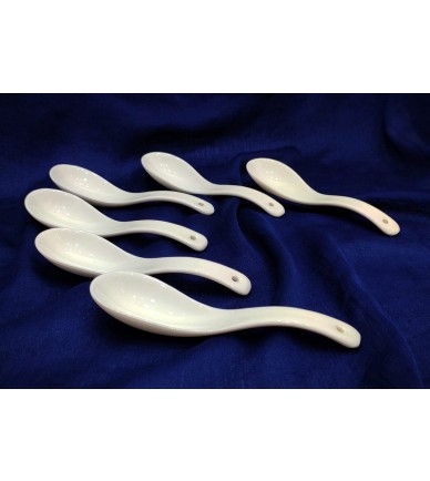 6 Piece Spoon Set
