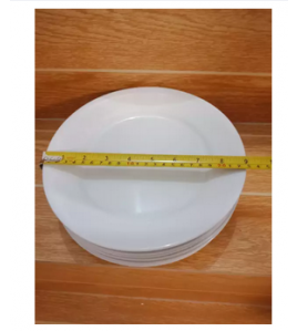 9 Inches Dinner Plate