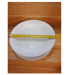 9 Inches Dinner Plate 9 Inches Dinner Plate