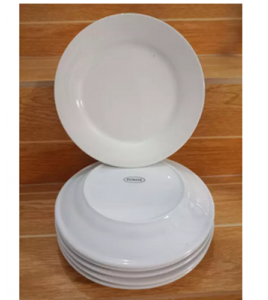 9 Inches Dinner Plate