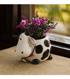 Balcony Terracotta Pots