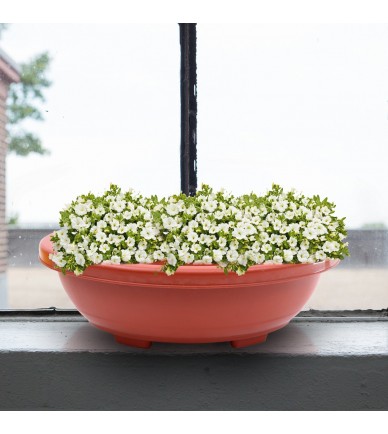 Bonsai Flower Pot Set Bonsai Flower Pot Set