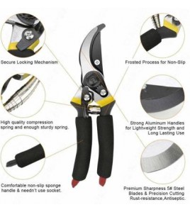 Garden Shears