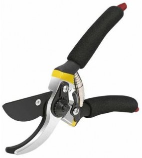 Garden Shears