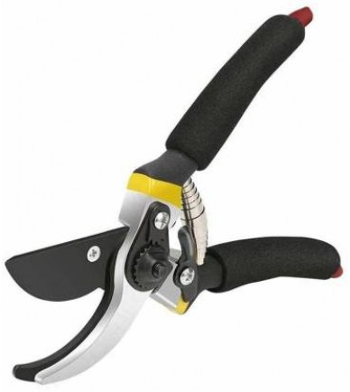 Garden Shears