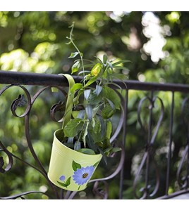 Hand Painted Plant Holder Set