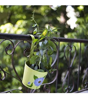 Hand Painted Plant Holder Set