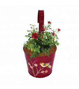 Hand Painted Plant Holder Set