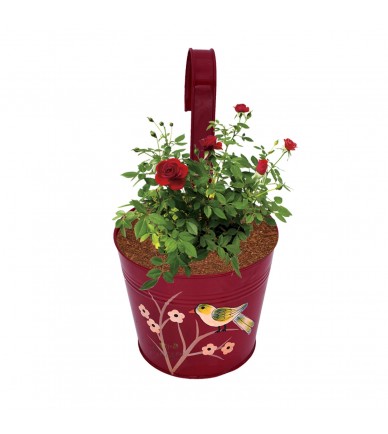 Hand Painted Plant Holder Set