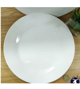 Plain White Ceramic Plate