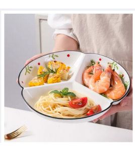 Quantitative Ceramic Division Plate