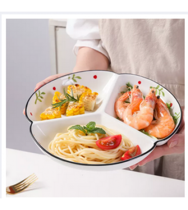 Quantitative Ceramic Division Plate