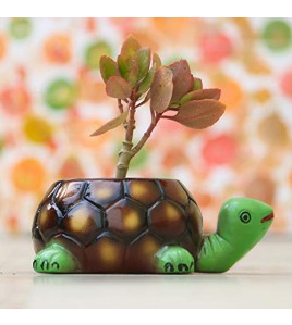 Tortoise Big Ceramic Pots