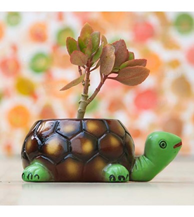Tortoise Big Ceramic Pots