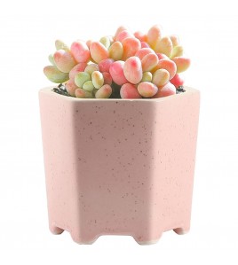 Balcony Decorative Flower Pot