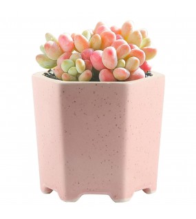 Balcony Decorative Flower Pot Balcony Decorative Flower Pot