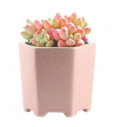 Balcony Decorative Flower Pot