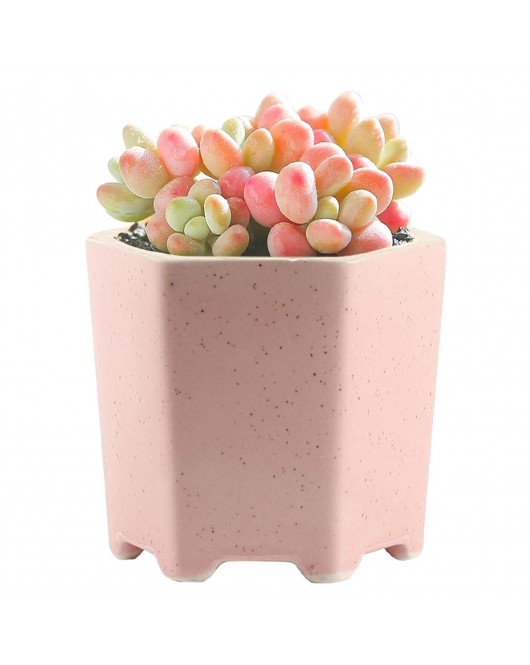 Balcony Decorative Flower Pot