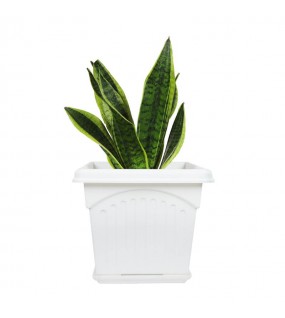 Outdoor Gardening Square Flower Pot Outdoor Gardening Square Flower Pot