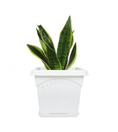 Outdoor Gardening Square Flower Pot