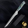 Abalone Shell Handle Kitchen Knife