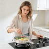 Pure Titanium Nonstick Frying Pan